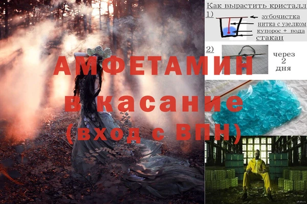 ECSTASY Алзамай